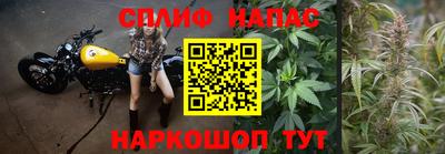 сатива Кумертау