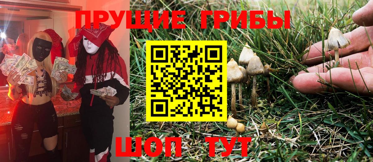 Вятские Поляны  Псилоцибиновые грибы мухоморы  Вход с VPN  купить наркотики цена  Псилоцибиновые грибы мухоморы 